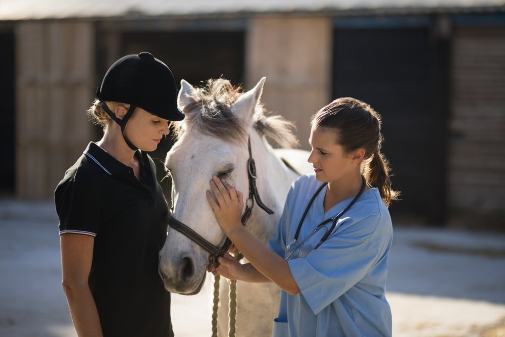 Cassadol Equine Software Cassadol Equine Software