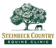 Cassadol Equine Vet Software solutions Cassadol Equine Vet Software solutions