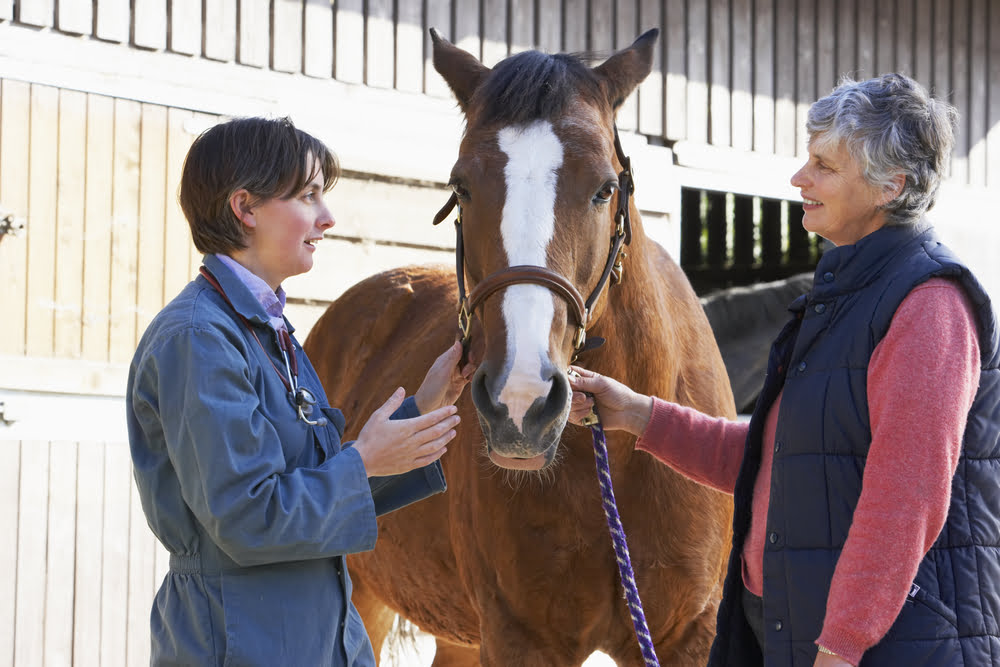 Cassadol Equine Software